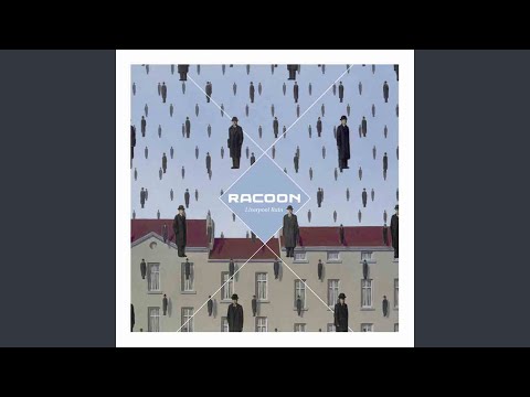 Don't Hold Me Down - Racoon
