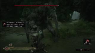 Mortal Shell グリシャ練習