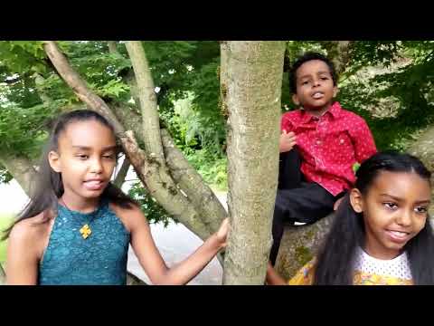 Eritrean Kids Song "Shbaka" By D.A.M.B.M