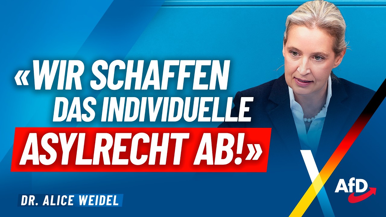"Wir schaffen das individuelle Asylrecht ab!" – Alice Weidel – AfD