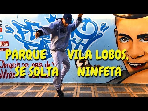 PARQUE VILA LOBOS, SE SOLTA NINFETA - MC RD, MC Pelé (Fezinho Patatyy) - DJ Gui da Z/O