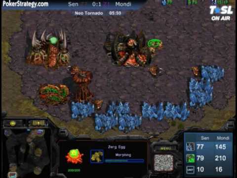 TSL Ro4 Mondragon vs Sen 2010-02-21 @ Neo Tornado