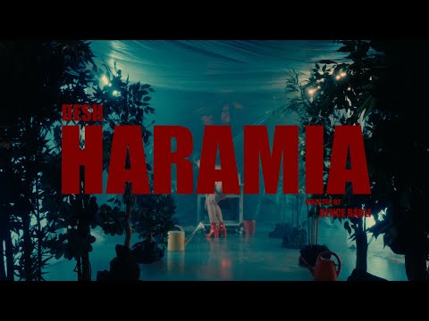 DESH - Haramia on Spotify Charts