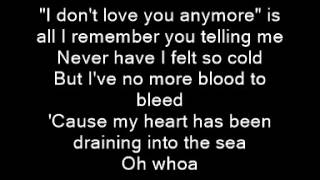 Rise Against: Blood To Bleed (Lyrics)