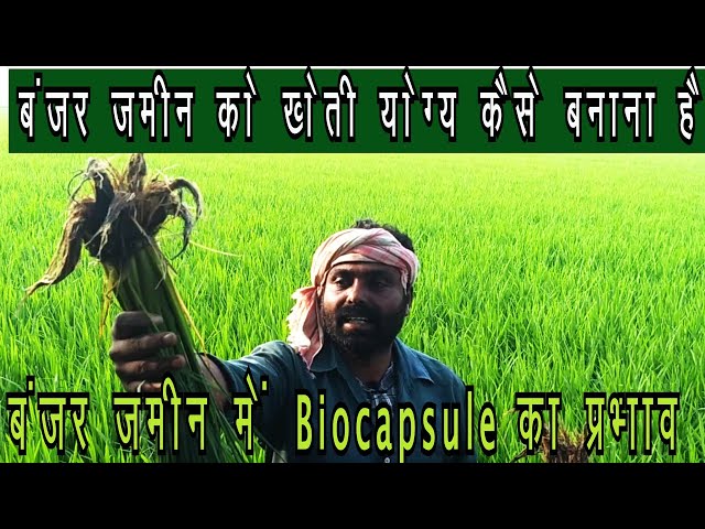 Video de pronunciación de चकित en Hindi