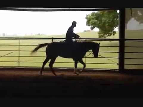 SOLD!!  Berry Red Star- 2012 filly