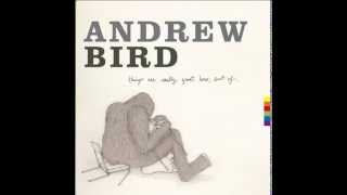 Andrew Bird - &quot;Tin Foiled&quot; (2014)