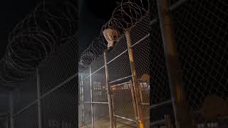 Inmate Caught in Barbed Wire on 16ft Fence #escape #prison #inmate #jail