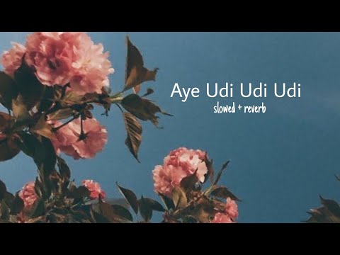 Aye Udi Udi Udi { 𝑺𝒍𝒐𝒘𝒆𝒅 + 𝑹𝒆𝒗𝒆𝒓𝒃 } || ADNAN SAMI , A.R RAHMAN