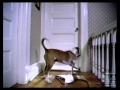 Imodium Commercial 1999