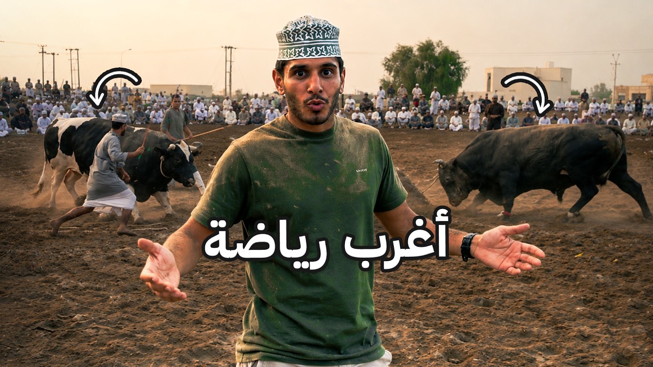 جنون مصارعة الثيران في عمان 🇴🇲🐂 #عمر_يجرب