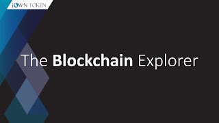 Explore the Ethereum blockchain on Etherscan