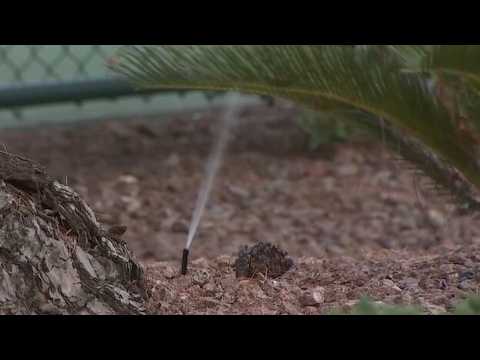 Homeowners sue Las Vegas Valley Water District over excess ...