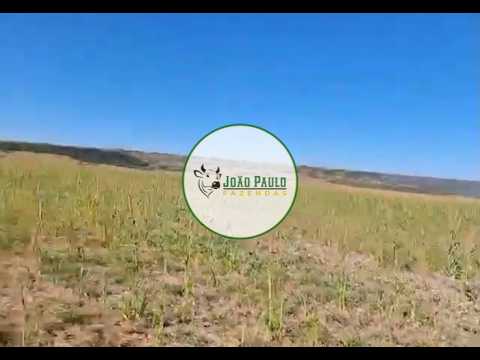 FAZENDA A VENDA EM CAIPONIA-GO - 550 HECTARES - ARRENDAMENTO AGRÍCOLA