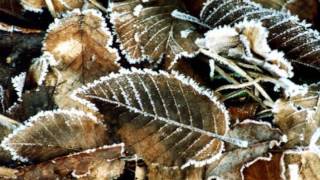 R&amp;B - The Neville Brothers - Ain&#39;t No Sunshine