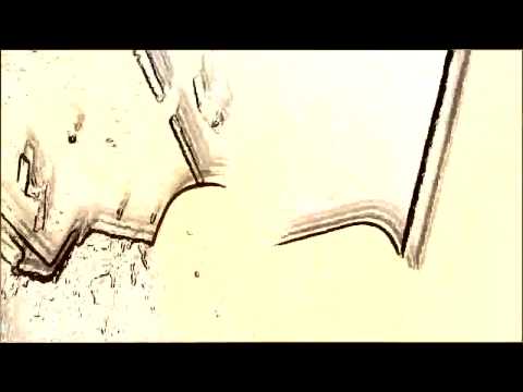 roots underground whippn