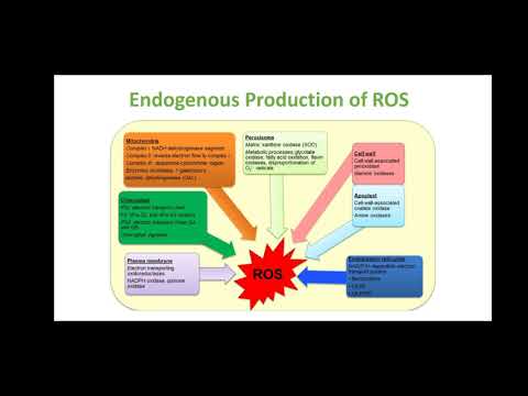 20 05 2020 Biochemistry   Free radicals