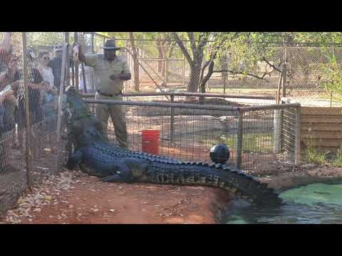MABU BURU LIFESTYLE Ep 25 - HAPPY NEW YEAR and more CROCODILE FEEDING