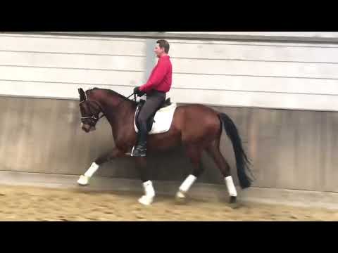 *2016 Wallach All Music x Weinzauber SOLD!!!