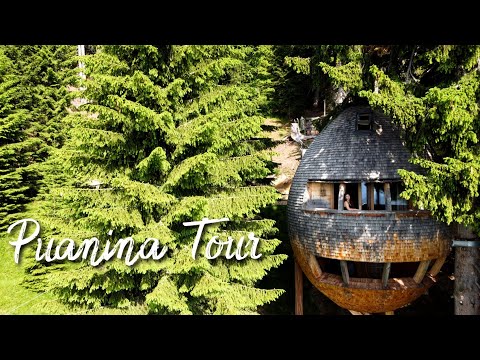 DORMIAMO IN PIGNA! - Glamping pazzesco in Friuli Venezia Giulia