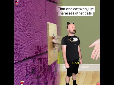 That one cat on tiktok who just goes around the neighborhood attacking other cats #fyp