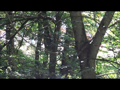 Rally Ronde del Ticino 2013