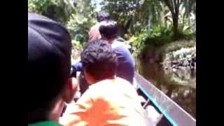 preview picture of video 'Perburuan gaharu di pedalaman sumatra dan Pelatihan Budidaya Gaharu'