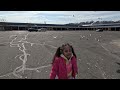 Seagulls At The Parking Lot