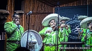 LA ENORME DISTANCIA | MARIACHI LOS TOROS