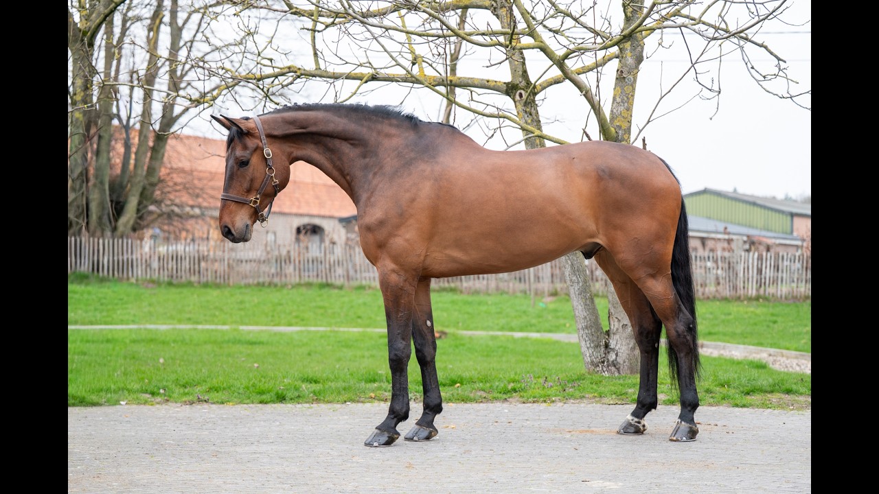 Masterpiece (CHAPEAU TN x CLINTON) video 2