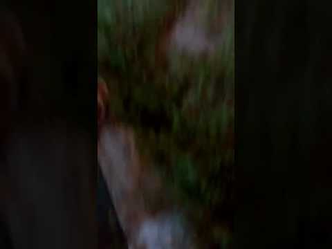 Gangues em fortaleza