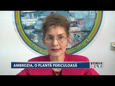 AMBROZIA O PLANTA PERICULOASA