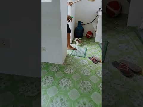 mga bago naming kapamilya sobrang makukulit