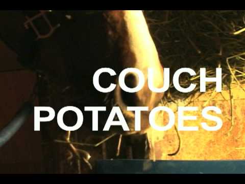 Couch Potatoes (2017) Trailer