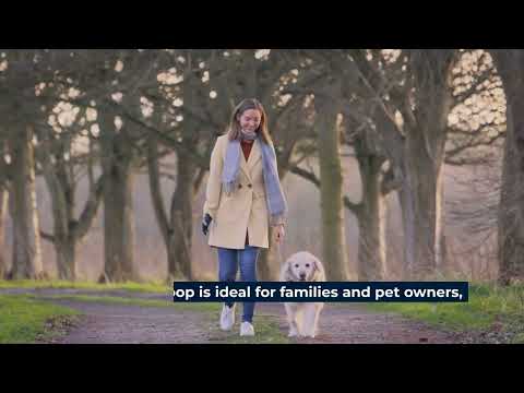 Trail Explorations The Best 5 Hiking Trails in Beaumont