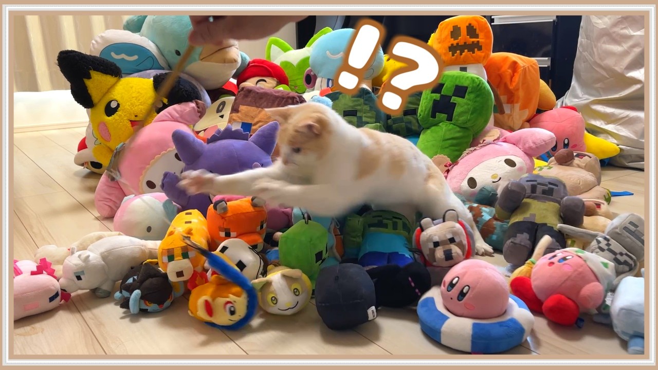 大量のぬいぐるみに思い切りダイブする猫がこちら