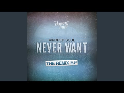 Never Want (Full Spektrum Remix)