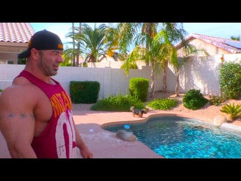 Dusty Hanshaw - CRIBS