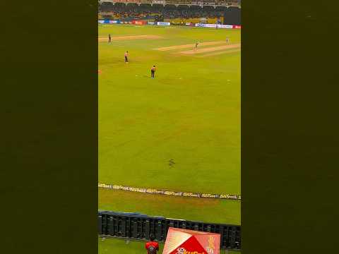 Snake 🐍 in R Premadasa stadium today cricket Match😯