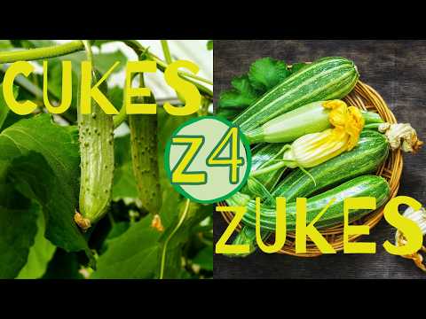 How to Grow Cucumbers and Zucchini from Seed in Zone 4 (Don't Make These Timing Mistakes)