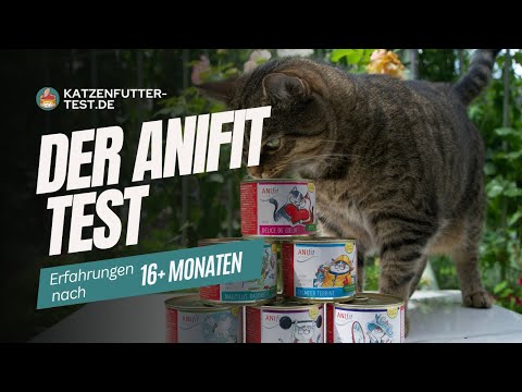 Großer Anifit Katzenfutter Test: Unsere Erfahrungen nach 16+ Monaten