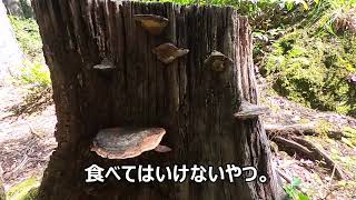 41歳　2025/09/01