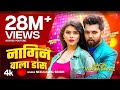 Video Hasina Ho Pasina Me Tu Ta Nagin Ke Dance Karelu Neelkamal Singh New Bhojpuri Dance Song