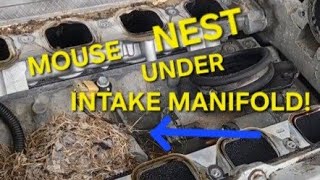 REPLACING INTAKE MANIFOLD GASKETS ON 2003 CADILLAC DEVILLE 4.6 NORTHSTAR