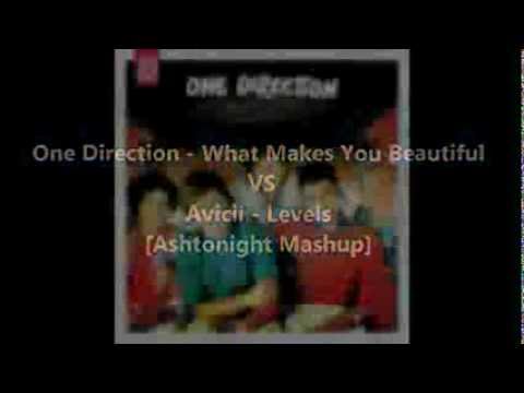 One Direction - What Makes You Beautiful vs Avicii - Levels [Ashtonight Mashup]