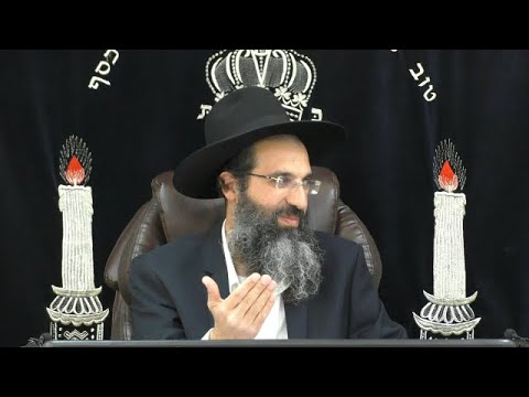 מרבים שלום בעולם | הרב שי עובד | שישי - חג פסח - תשפג
