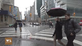 Relaxing Sounds of Rain on Umbrella in Midtown Toronto, Canada | Toronto City Soundscape
