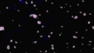 Why Don&#39;t You Kiss Her By: Jesse McCartney w/ lyrics