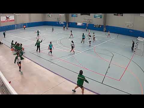BM GETASUR 41 - 15 IKASA BM MADRID PRIMERA CADETE FEMENINO 27/01/2019