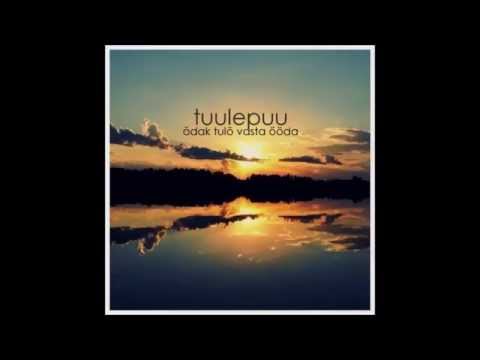 Tuulepuu "Kats Kitsõ" (kaasa teeb Üllar Saaremäe)